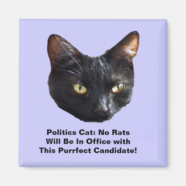 Politics Cat No Rats Will Be In Office Sq Magnet (Front)