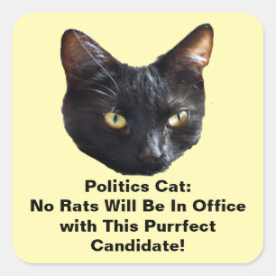 Politics Cat No Rats Will Be In Office Sticker