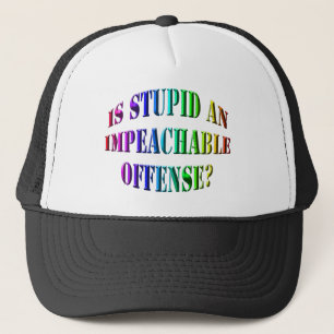 Politics - Impeach - Is Stupid Trucker Hat