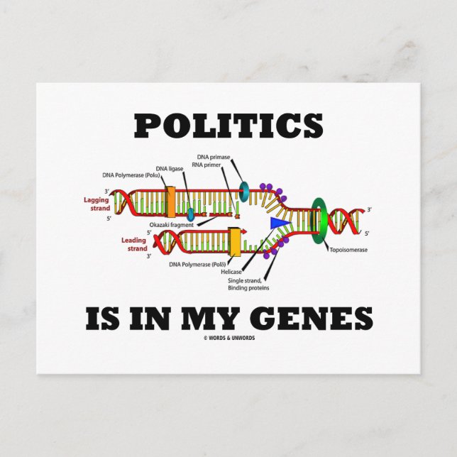 Politics Is In My Genes DNA Humour Postcard (Front)