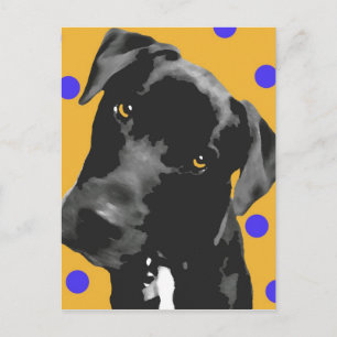 Polka Dot Postcard