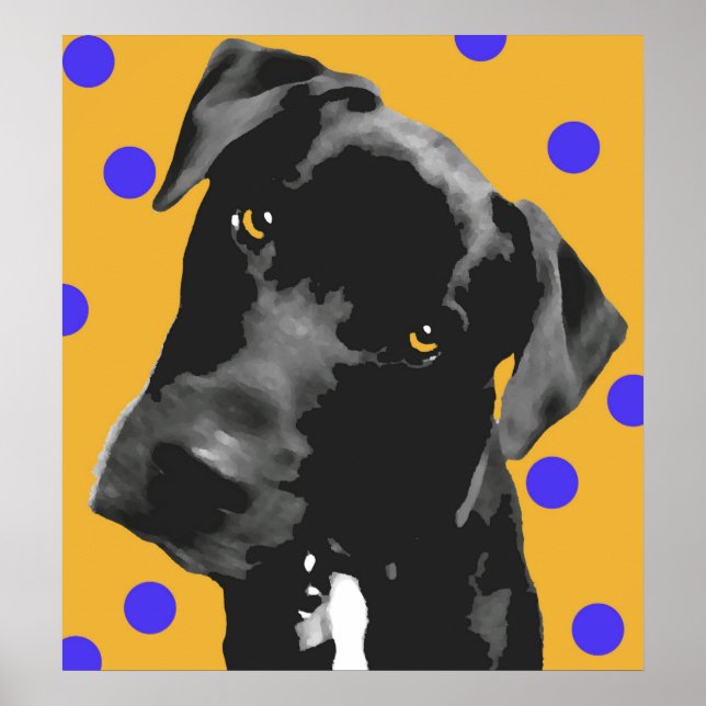 Polka Dot Poster (Front)