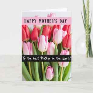Polka Dot Tulip Mother Card