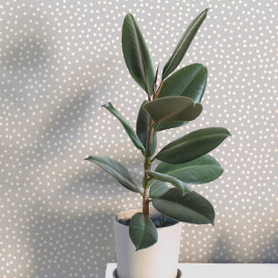 Polka Dots and Spots Cream on Grey Wallpaper