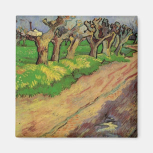 Pollard Willows by Vincent van Gogh Magnet