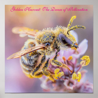 Pollinated Perfection: Bee Macro Photography Poster