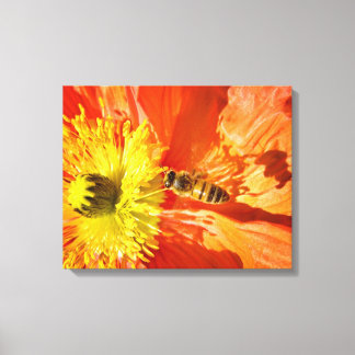 Pollination in Orange and Yellow canvas wrap