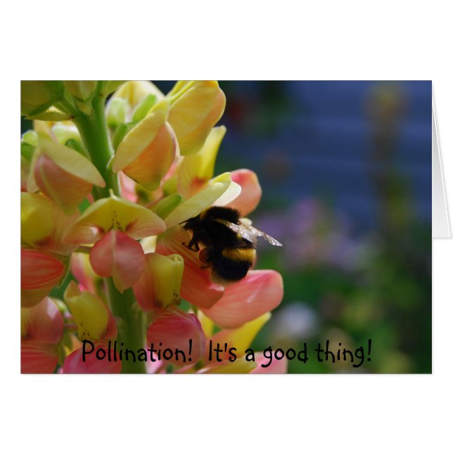 Pollination!  It's a good thing! Let's Pollinate! (Front Horizontal)