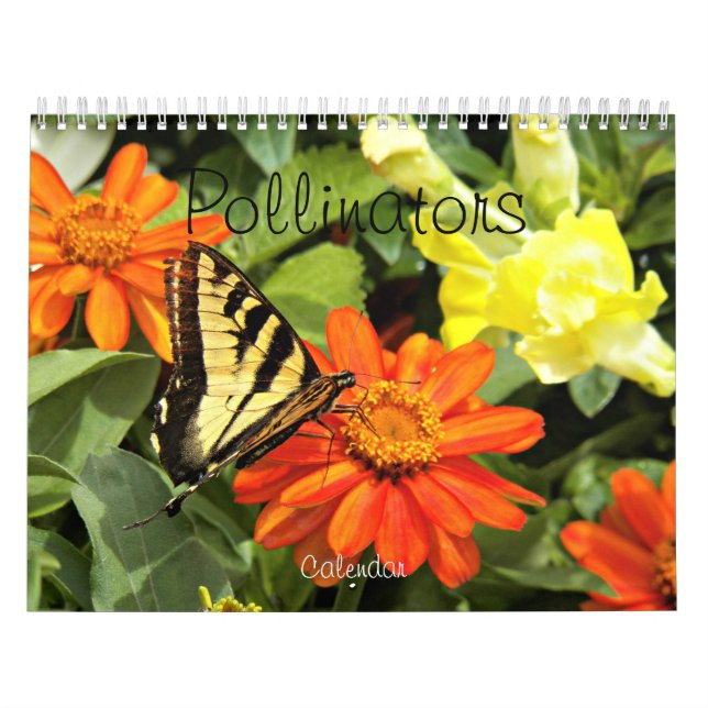 Pollinators Nature Photography Calendar (Cover)