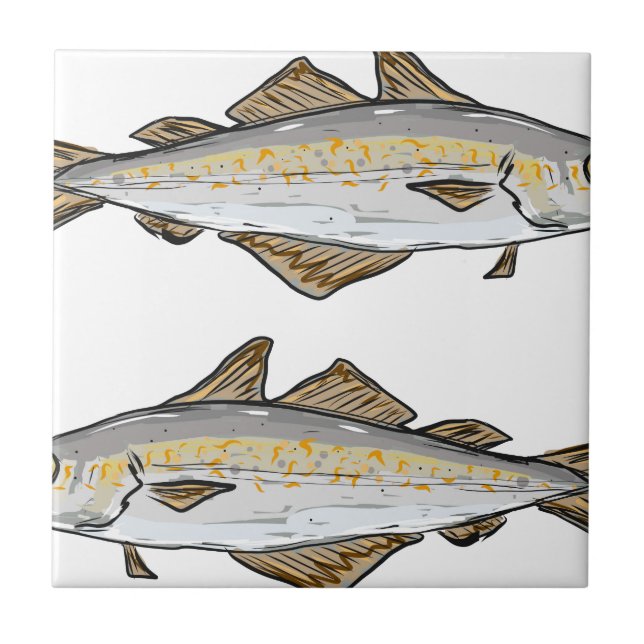 Pollock Fish Sketch Tile (Front)