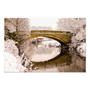 Pollok Park, Glasgow Photo print