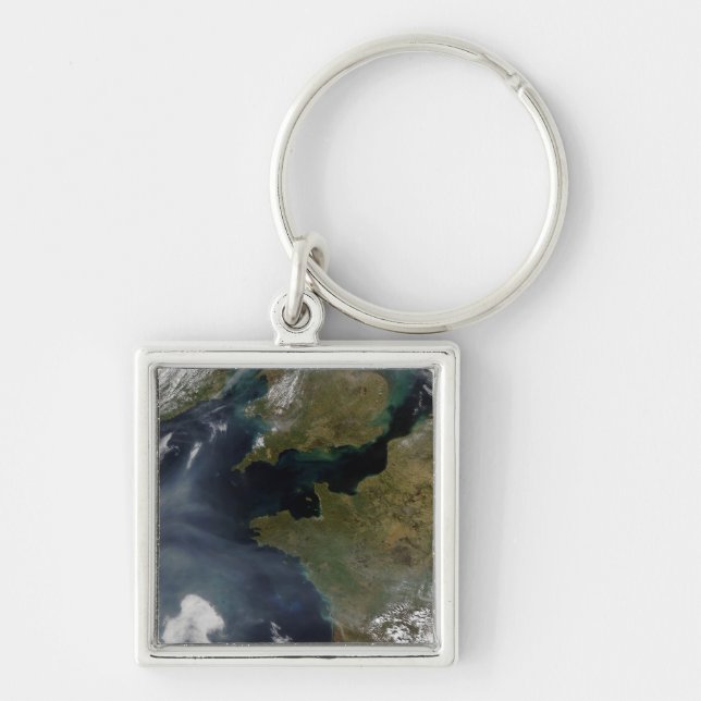 Pollution off France Key Ring (Front)