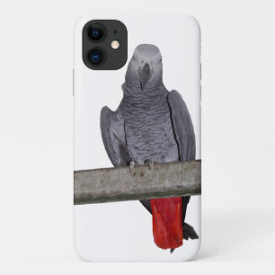 Polly iPhone 11 Case (choose colour)