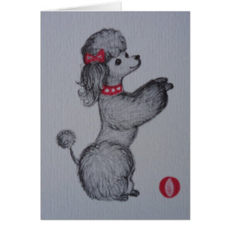 Polly the Poodle