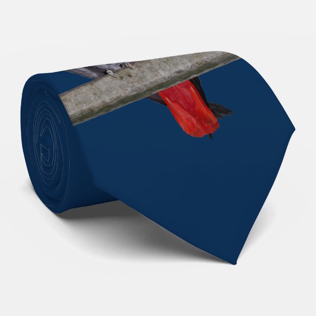 Polly Tie Double Sided Colour (Navy) (Rolled)