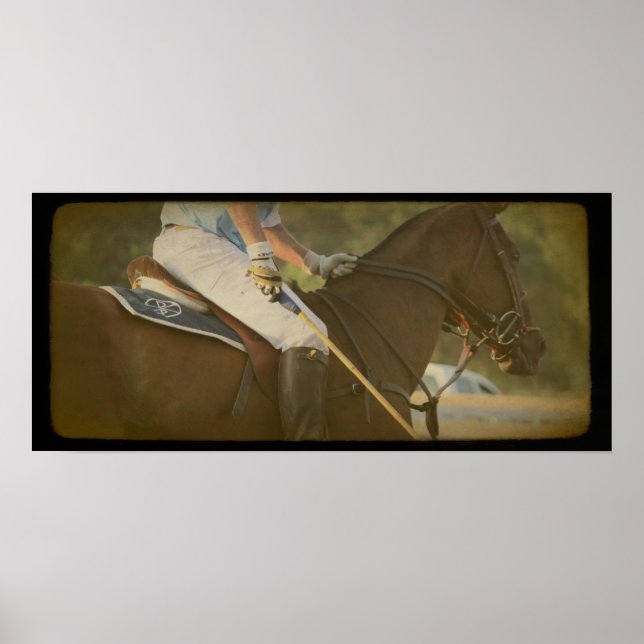 Polo Horse Poster (Front)