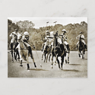 Polo Horses Galloping Postcard