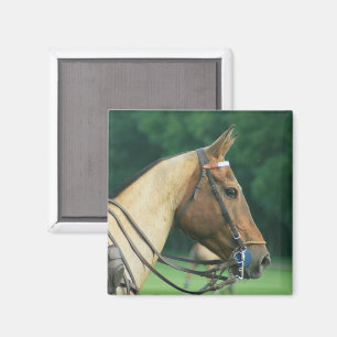 Polo Pony Magnet