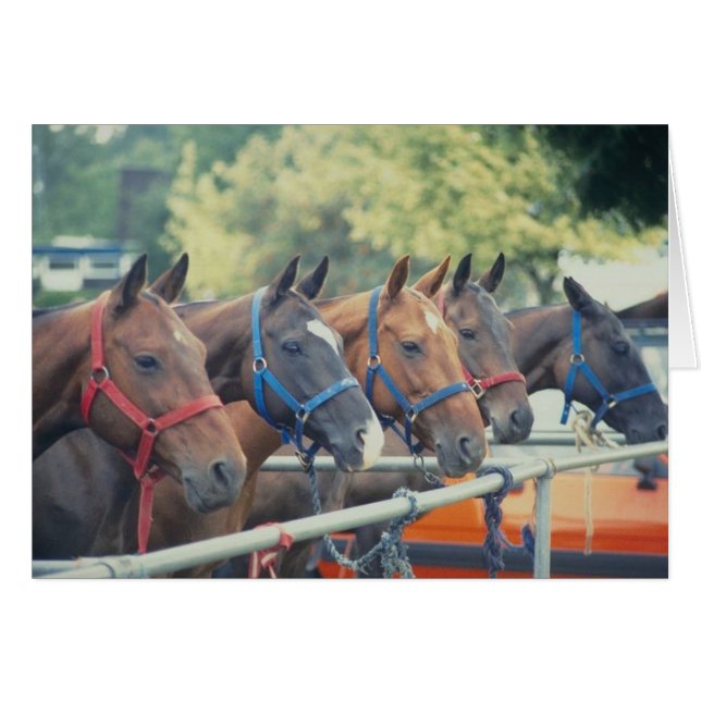 Polo Pony String (Front Horizontal)