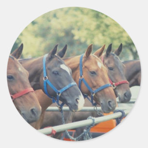 Polo Pony String Classic Round Sticker
