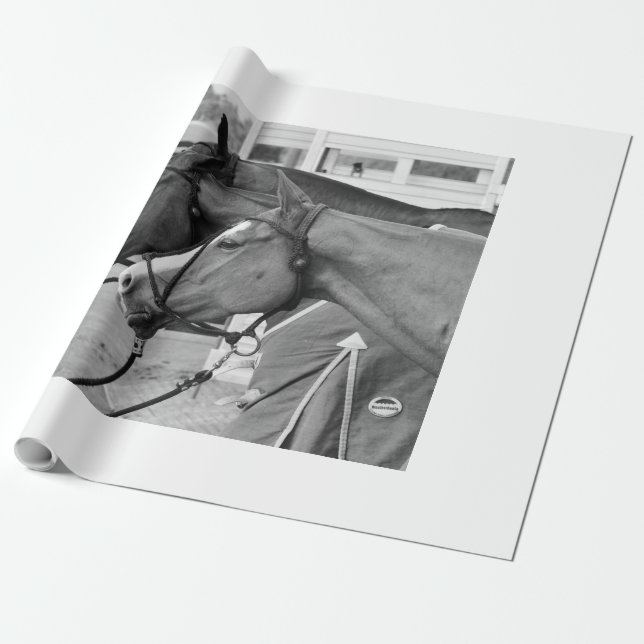 Polo pony wrapping paper (Unrolled)