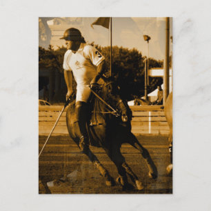Polo Postcard