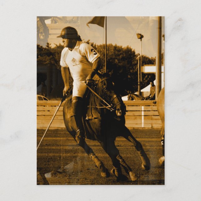 Polo Postcard (Front)