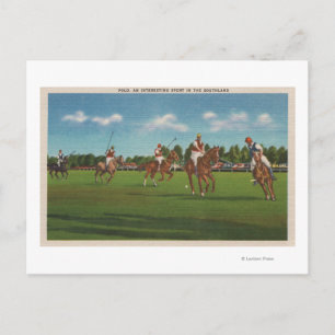 Polo Scene with Players and Horses on Lawn Postcard