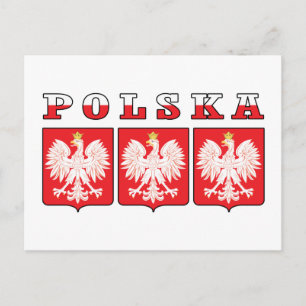 Polska Eagle Shields Postcard