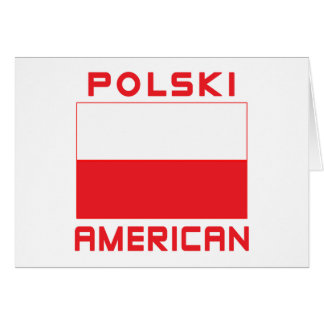 Polski American Flag