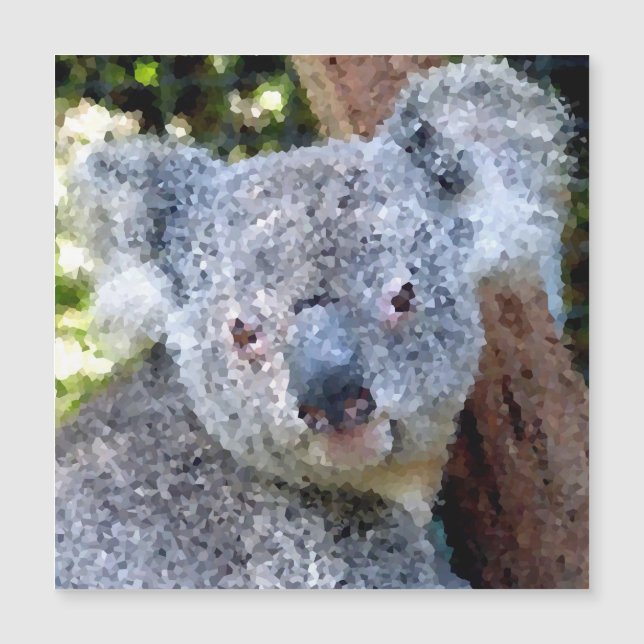 Poly Animals - Koala (Front)