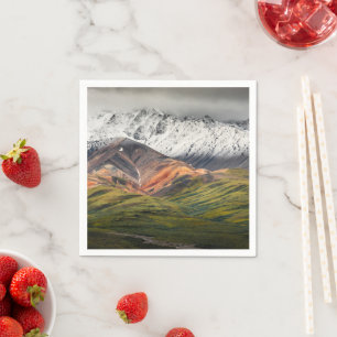 Polychrome mountain, Denali NP, Alaska Napkin