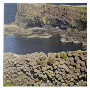 Polygonal basalt, Staffa, off Isle of Mull, Tile