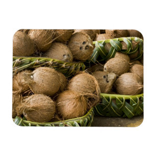 Polynesia, Kingdom of Tonga. Display of coconuts Magnet