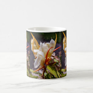 POLYNESIAN DRAGON CACTUS NIGHT BLOOM  COFFEE MUG