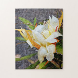 POLYNISIAN DRAGON CACTUS NIGHT BLOOM JIGSAW PUZZLE