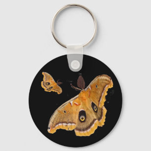 Polyphemus Moth Key Ring