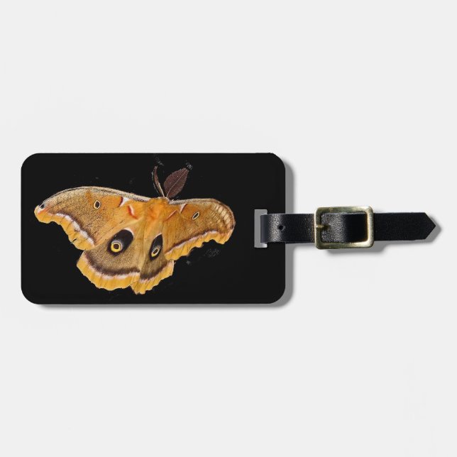 Polyphemus Moth Luggage Tag (Front Horizontal)