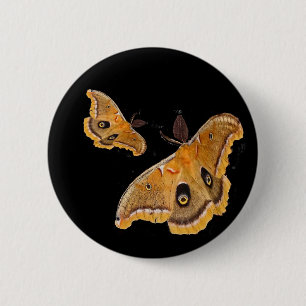 Polyphemus Moths 6 Cm Round Badge