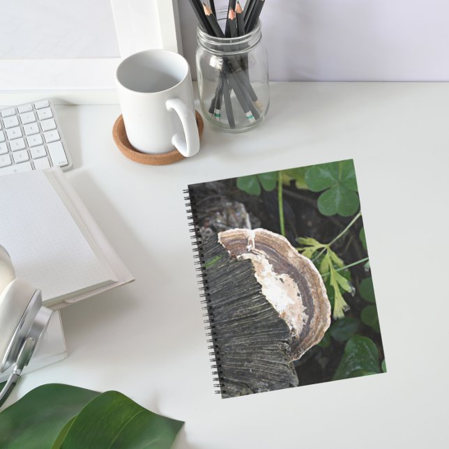 Polypore Fungus on Tree Stump Notebook (In Situ)
