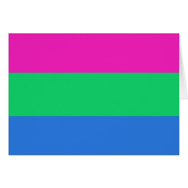 Polysexual Pride Flag (Front Horizontal)
