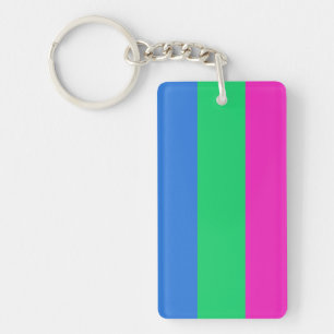 Polysexual Pride Flag Key Ring