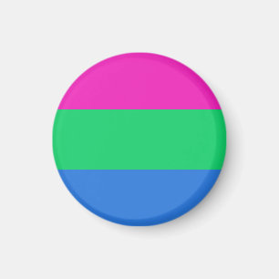 Polysexual Pride Flag Magnet