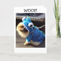 POM IS DRESSED UP JUST TO SAY HAPPY BIRTHDAY TO U