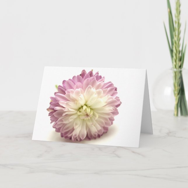 pom pom card (Front)