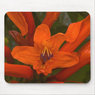 Pomegranate Blooms Mouse Mat