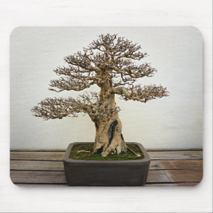 Pomegranate Bonsai Tree Mouse Mat