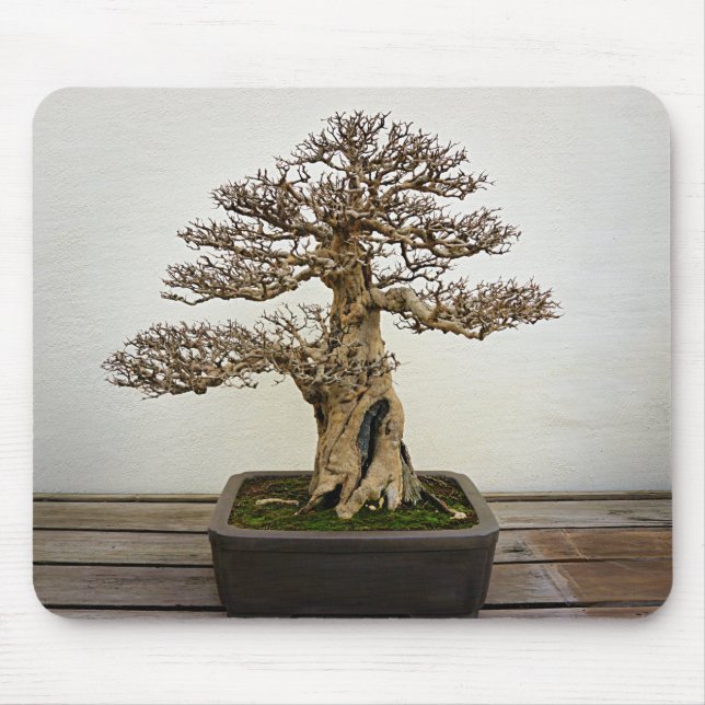 Pomegranate Bonsai Tree Mouse Mat (Front)