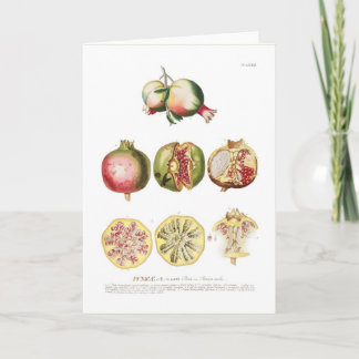 Pomegranate Card