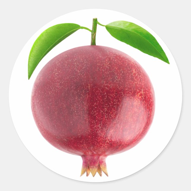 Pomegranate Classic Round Sticker (Front)